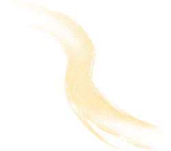 Best Digital marketing expert in kochi -  effect 2 yellow